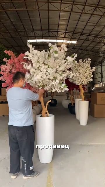 Мой секрет: идеальный сад без полива и ухода. смотреть онлайн