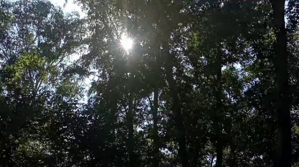 Стихотворение " Миг дивный" Автор и исполнитель Ингвар Нитомак