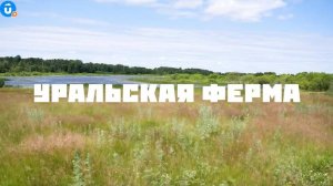 Уральская ферма: знакомимся с сельским туризмом. «Навигатор Live»
