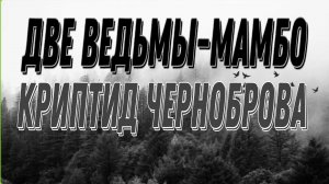 1).МОЯ РАБОТА В 16 ЛЕТ. 2). КЕМ БЫЛО ЭТО СУЩЕСТВО?