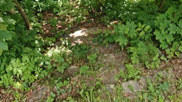 Руины дворца Тышкевичей. Логойский парк.