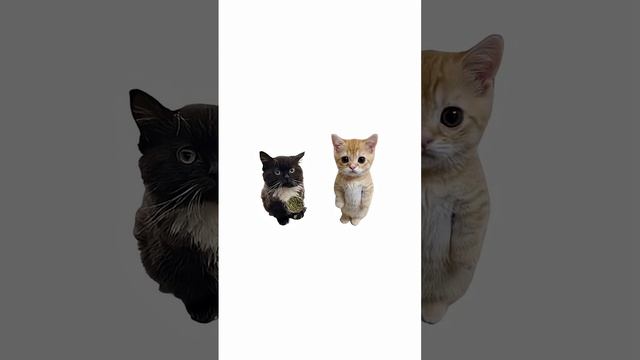 Как работает мексиканский картель смотреть онлайн