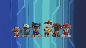 Щенячий патруль, Смелая команда щенков