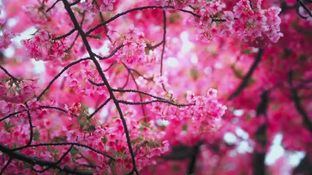 Best of May 2025 · Deep House Playlist · Trendy Background Music смотреть онлайн