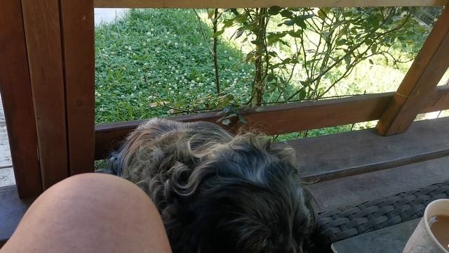 СОЧИ ГОРНОЕ ЛОО ВЕЧЕР 08.07.2025 смотреть онлайн