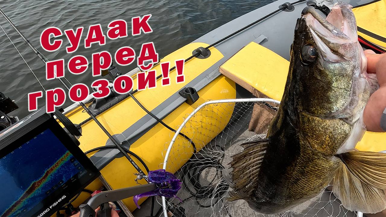 Я ДАЖЕ НЕ УСПЕВАЛ ДОТЯНУТЬСЯ ДО КАМЕРЫ!!! ОТЛИЧНАЯ РЫБАЛКА ПЕРЕД ГРОЗОЙ! смотреть онлайн