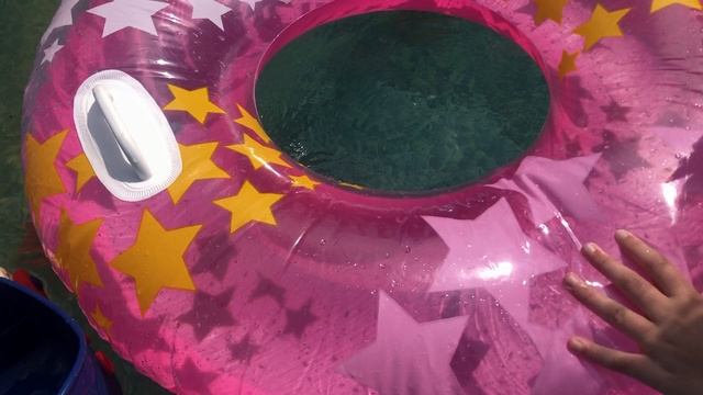 Путешествие собачек сквишь на корабле смотреть онлайн