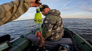 ХИТРАЯ СНАСТЬ ЛОВИТ СОМОВ! Ловля Сома на Выползка и Куриную печень. Рыбалка на сома в июле, Квок.