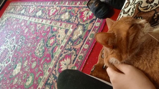 новость от Милки смотреть онлайн