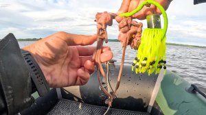 Я ОФИГЕЛ КАК ОНИ ПОДЫМАЮТСЯ с ГЛУБИНЫ к этой приманке. Рыбалка на квок, сом в 2025