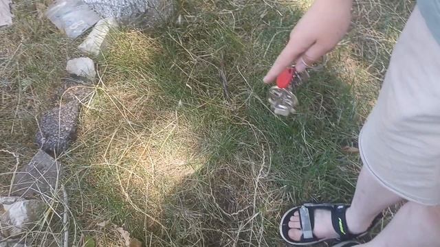 100дней на заброшеной территории летнего лагеря рядом с горами Аппалачи 1часть смотреть онлайн