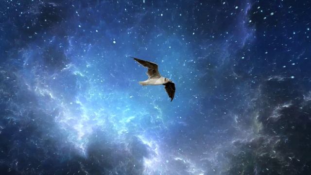 Радуйся взлету! смотреть онлайн