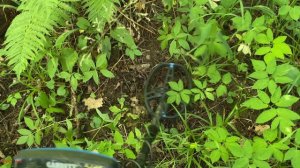 Крутое место мы нашли, находки класс. Коп с Garret Vortex