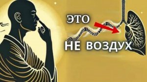 Когда Вы Дышите так Реальность Меняется I Осознанное дыхание