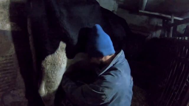 В деревне выключили свет 💡 Вечерняя дойка в темноте. Семейное видео архив