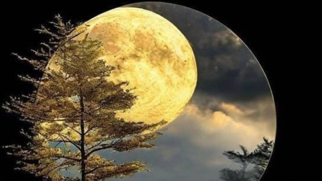 Полнолуние , что освещает ? что грядет? что оставить в прошлом ? смотреть онлайн