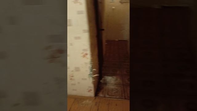 продажа однокомнатная квартира Зеленодольский район село осиново смотреть онлайн