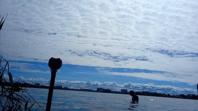 Купаюсь в озере