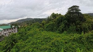 Best Western Phuket Ocean Resort - Deluxe Room, Thailand, Phuket, July 2025