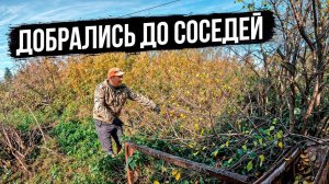 Расчищаем границы нового участка и делаем парилку из теплицы