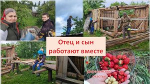 Сарай продолжение. Вкусное лето