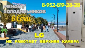 Ремонт холодильника LG GA-E409UEQA не работает верхняя камера