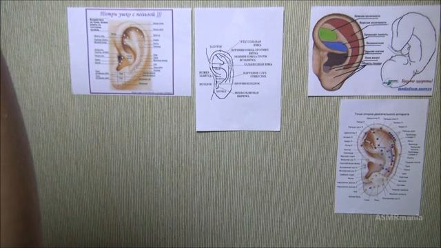 АСМР осмотр уха