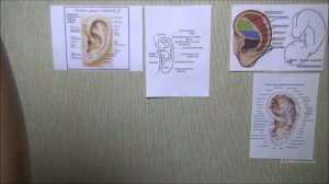 АСМР осмотр уха