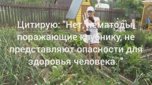 6 соток 5 июля 2025 года. 1 часть