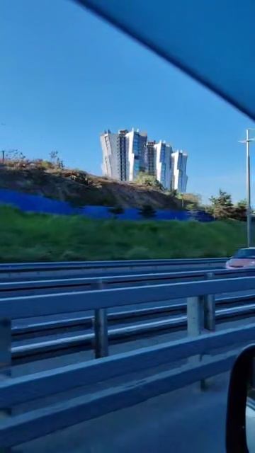 Вырублены гектары леса во Владивостоке смотреть онлайн