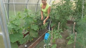 6 соток 6 июля 2025 года. Хроника.