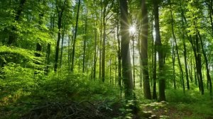 Emma Saville feat Minus BLUE - Be As One (Klangstein Remix) #сезонконтентаRUTUBE