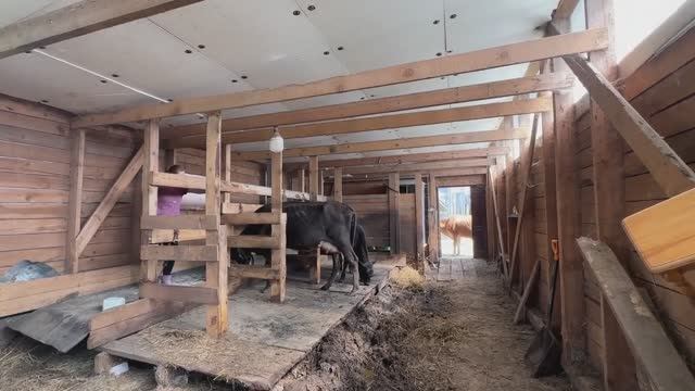 Планировка в новом доме. Ломаем стену. Едем к родителям с гостинцами. Забрали детей. Жизнь в деревне смотреть онлайн