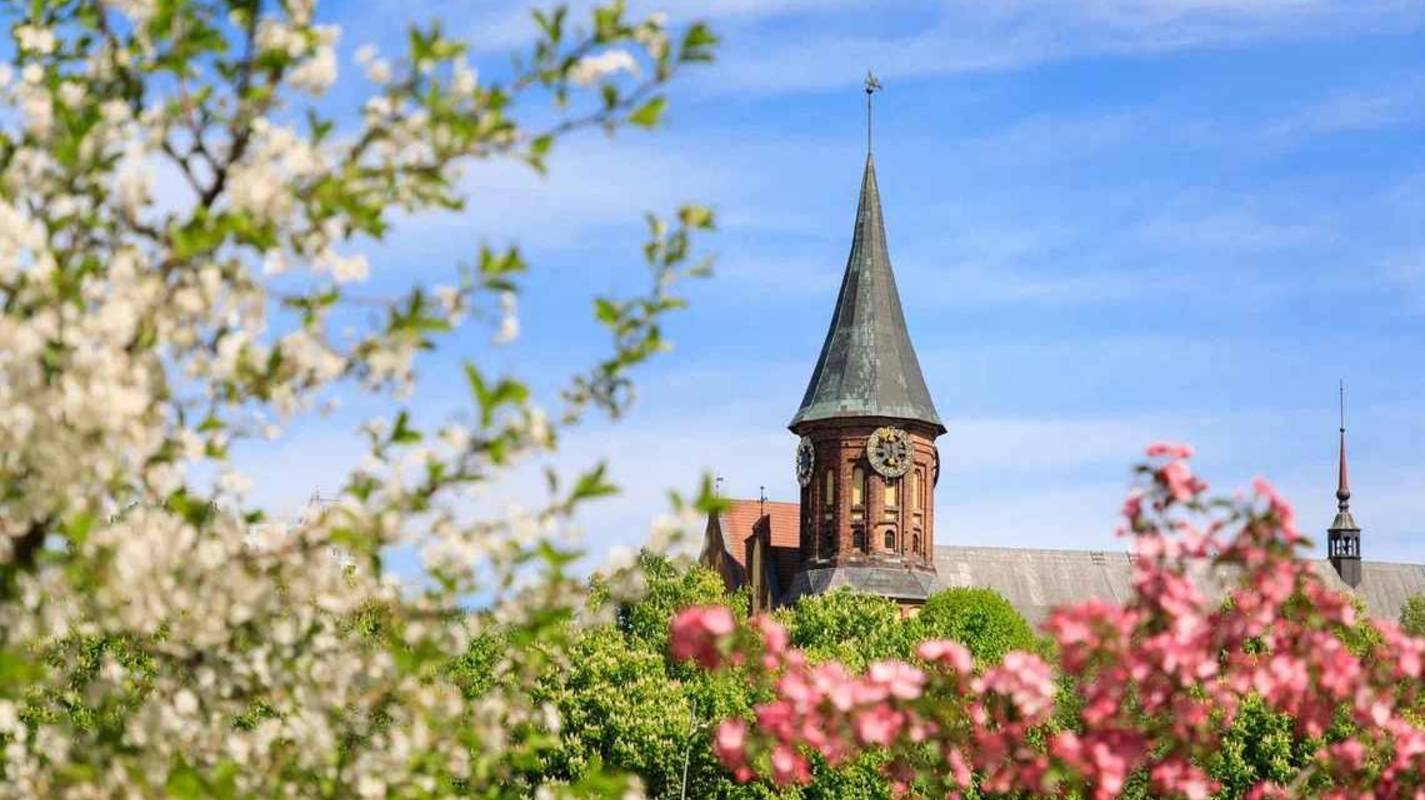 Калининград смотреть онлайн