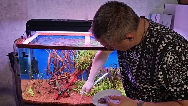 посадил семена в аквариум!!!