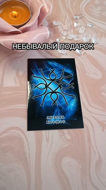 Выс высоко ценят 👑ВЫСШИЕ🔥 смотреть онлайн