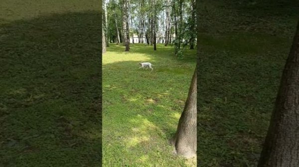 Игорь Крутой - Мой друг ( Cover by SergS & Maria )