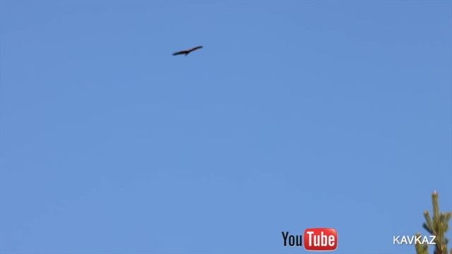 Готовим МЯСО и ОВОЩИ на костре – Просто, сочно, пальчики оближешь! смотреть онлайн