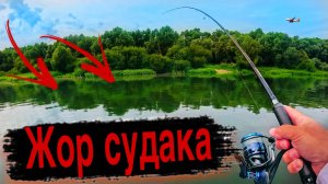 ЭТО НАДО ВИДЕТЬ! Дикий жор судака на ОКЕ Рыбалка на спиннинг