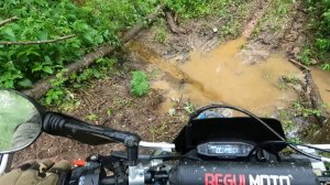 KAYO T2 Enduro против Regulmoto Sport-003 PR300 ЭНДУРО ПОКАТУШКИ ПО ЛЕСУ