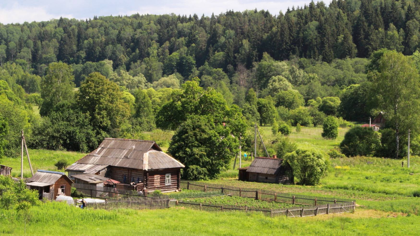 Ольга Маркелова Деревня моя смотреть онлайн