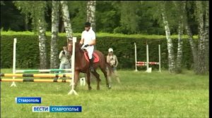 В Ставрополе прошли соревнования по конкуру