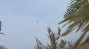 Последний день охоты добыли гусей и трудный выход из болота.