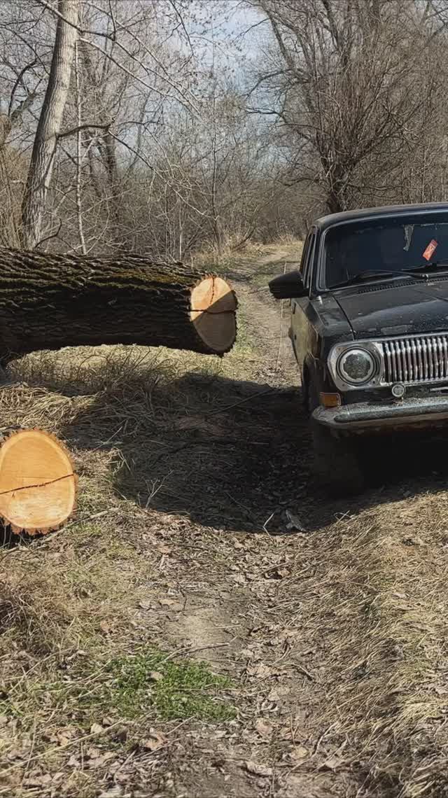 На Волге На Рыбалку