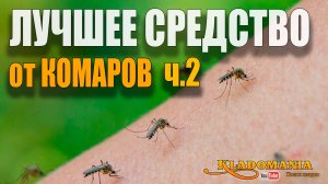 ЛУЧШЕЕ СРЕДСТВО от КОМАРОВ часть 2. Как избавиться от комаров в походе. КЛАДОМАНИЯ