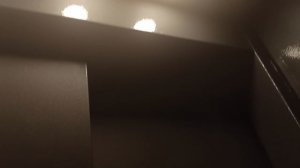 Пассажирский лифт V=1 м-с, Q=320 кг (4958)