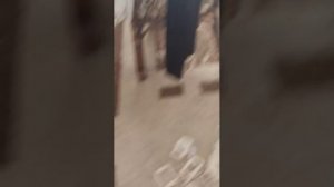 выживание в доме с призраками часть 2