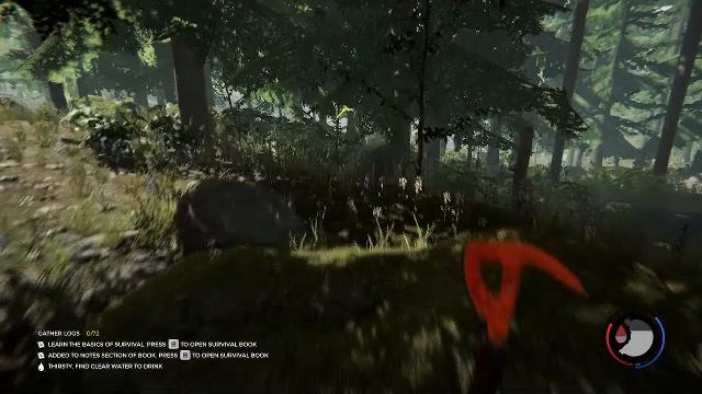 играем в The Forest