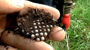 Монетообильный фундамент и редкое серебро СССР.