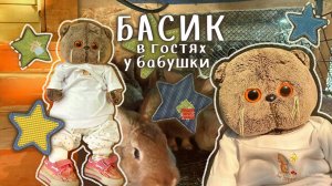 КОТ БАСИК в гостях у бабушки